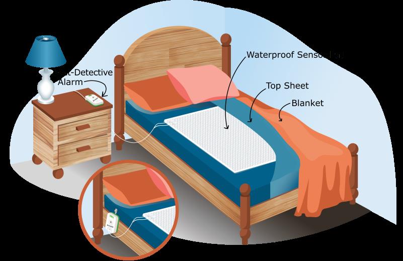 Bed-Wetting: Symptoms, Causes, Risk Factors, Diagnosis, Treatment