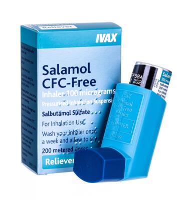 Buy Salamol Asthma Inhaler 100mcg (200 dose) Online - Daily Chemist